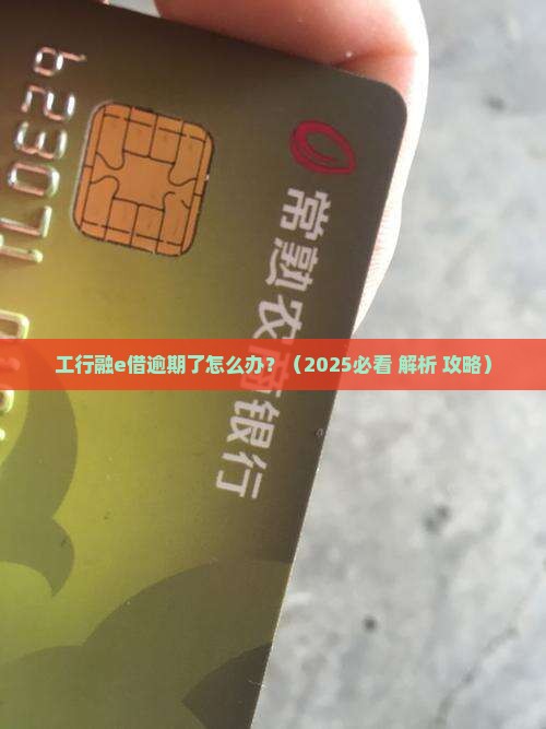 工行融e借逾期协商成功案例分享