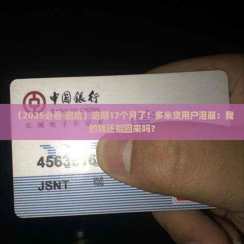 多米贷逾期1年多