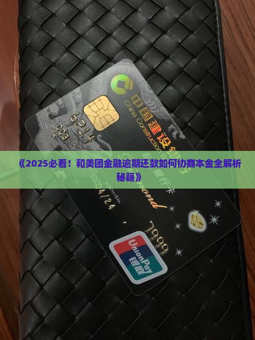 怎么和美团金融协商还本金的方法