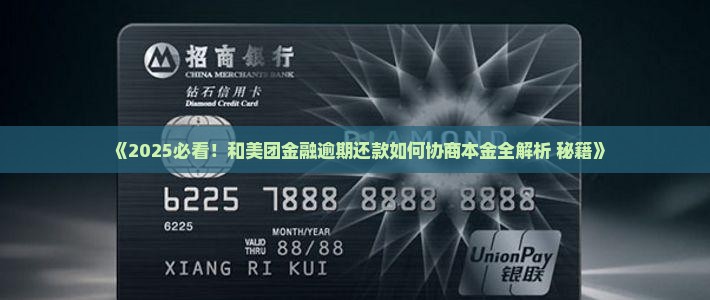 怎么和美团金融协商还本金的方法