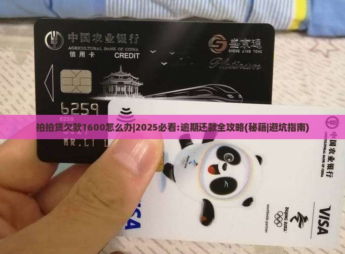 拍拍贷欠款1600怎么办