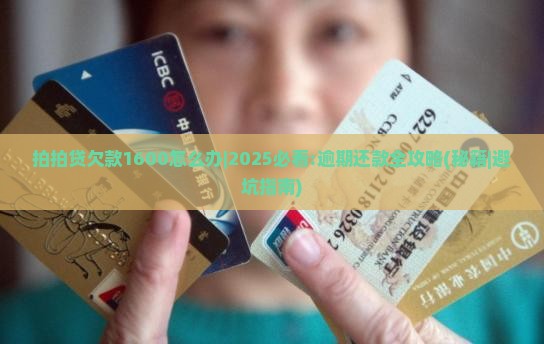 拍拍贷欠款1600怎么办