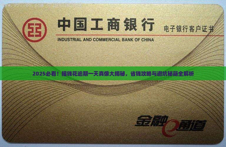 2024摇钱花逾期一天会怎么样