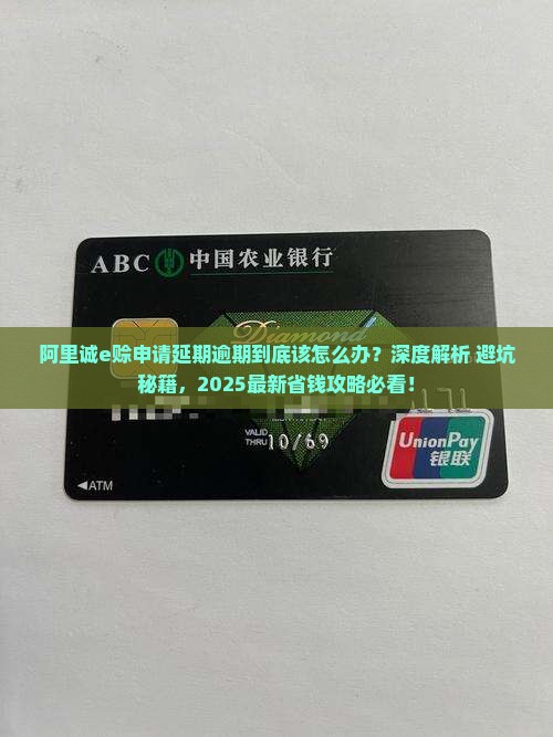 阿里诚e赊申请延期逾期该如何处理