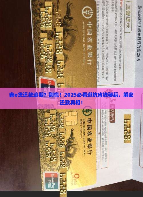 鑫e贷还款逾期