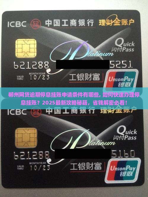 郴州网贷逾期停息挂账申请条件有哪些