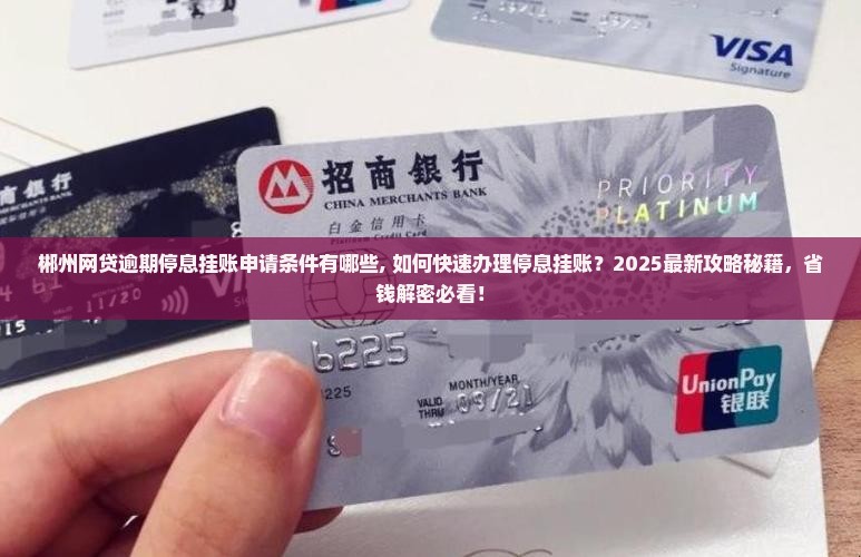 郴州网贷逾期停息挂账申请条件有哪些