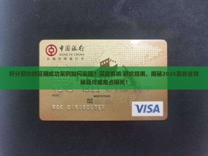 好分期协商延期的成功案例如何实现