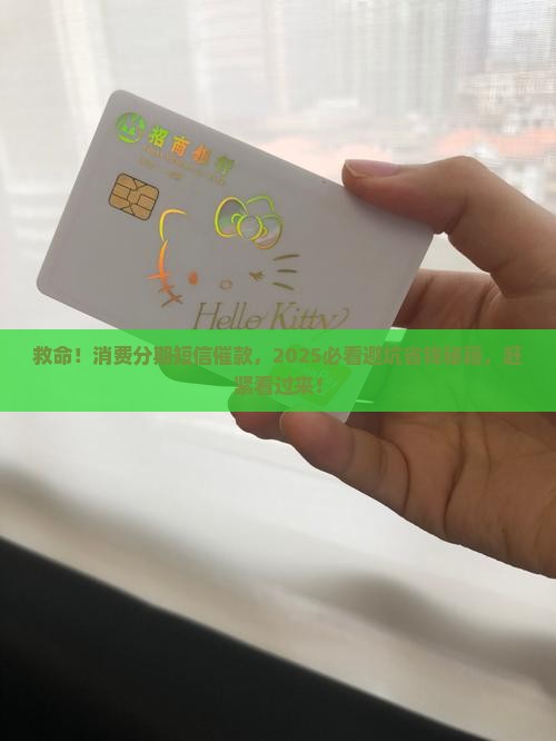 消费分期欠款严重逾期短信怎么办