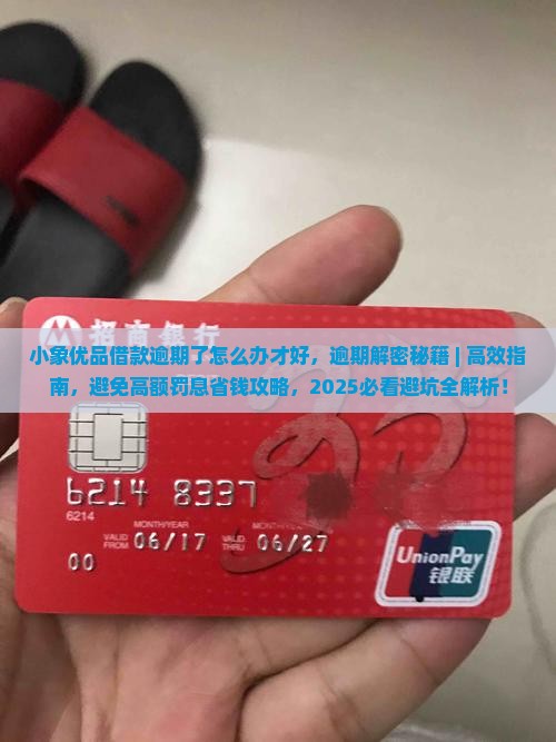 小象优品借款逾期了怎么办才好
