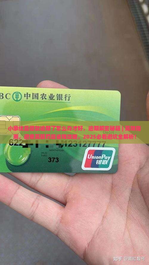 小象优品借款逾期了怎么办才好
