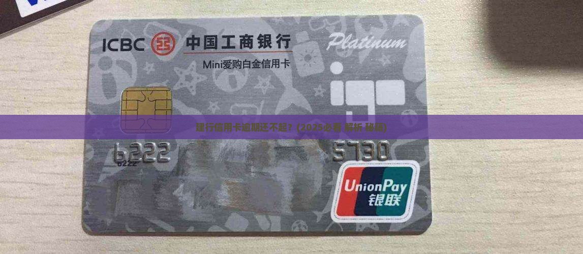 建行信用卡一万二还不起怎么办