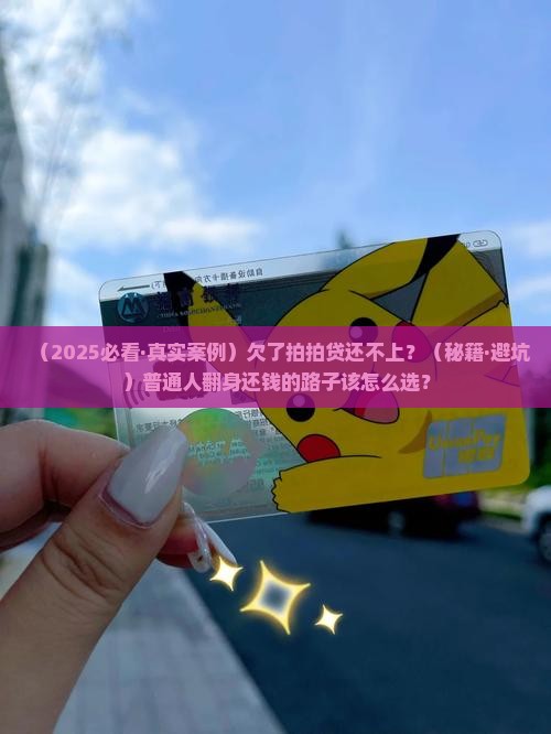 无力偿还拍拍贷