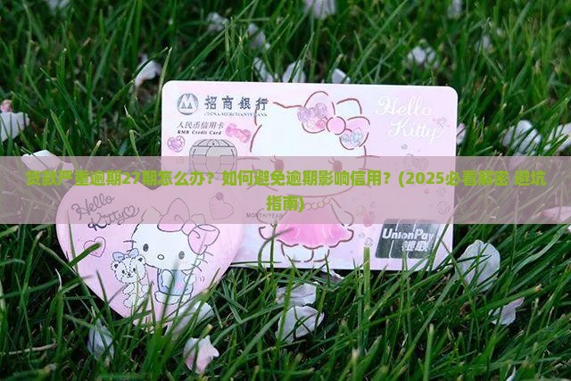 贷款严重逾期27期 贷款严重逾期27期