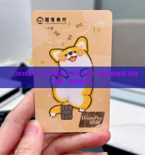 支付宝欠了10万还不起怎么办处理