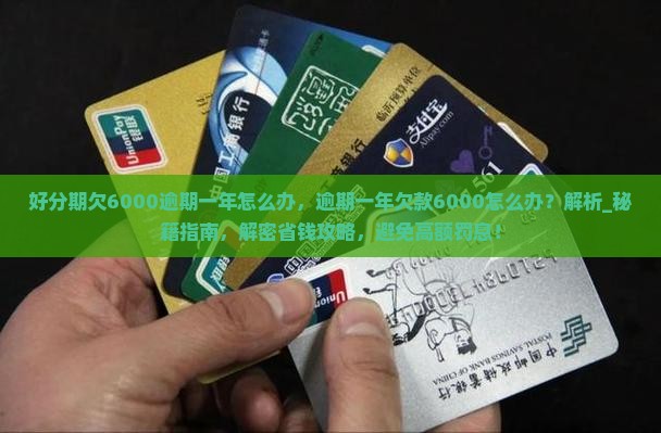 好分期欠6000逾期一年怎么办