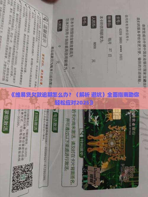 维易贷欠款如何处理