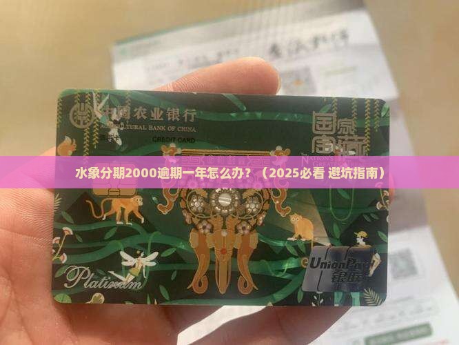 水象分期2000逾期一年如何处理