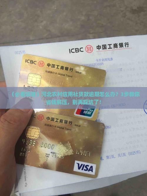 河北农村信用社贷款逾期未还处理办法