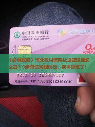 河北农村信用社贷款逾期未还处理办法