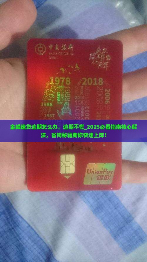 金峰速贷逾期怎么办