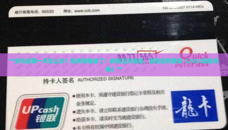 京东白条逾期一天怎么办需要注意什么