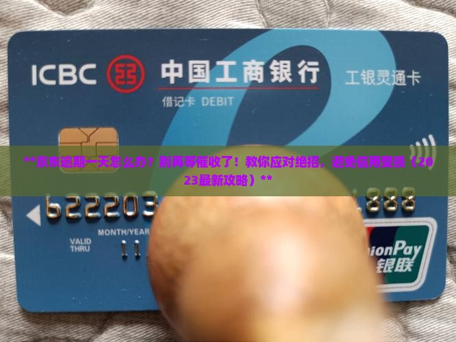 京东白条逾期一天怎么办需要注意什么