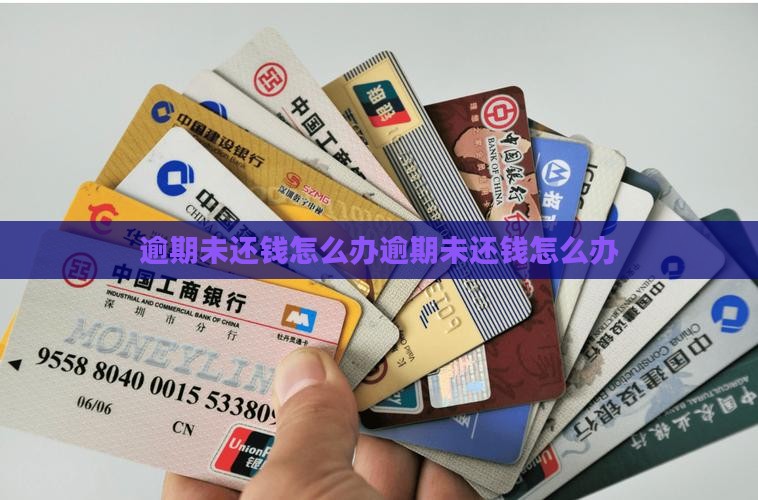 恒小花逾期未还钱怎么办
