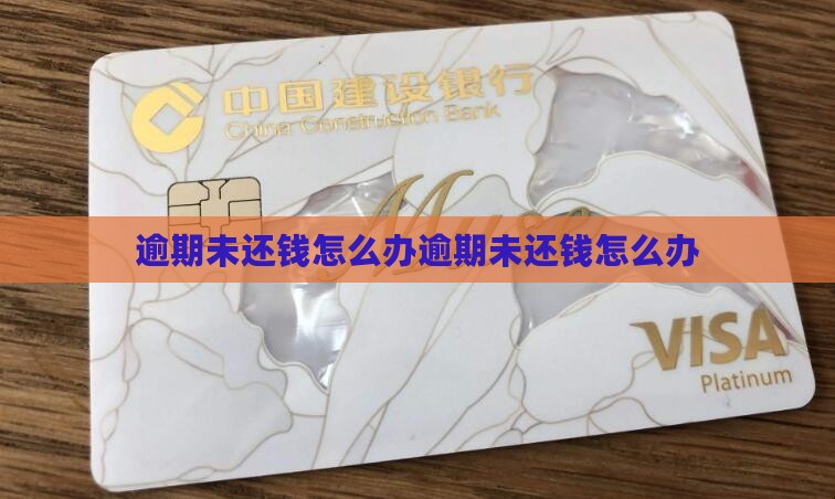 恒小花逾期未还钱怎么办