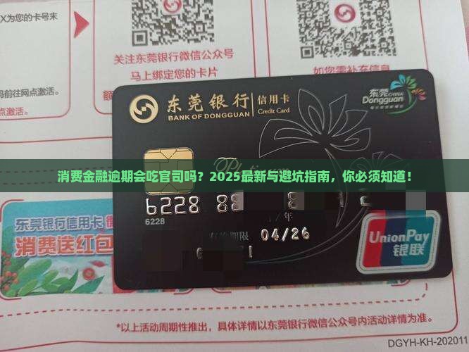 消费金融逾期会立案起诉吗