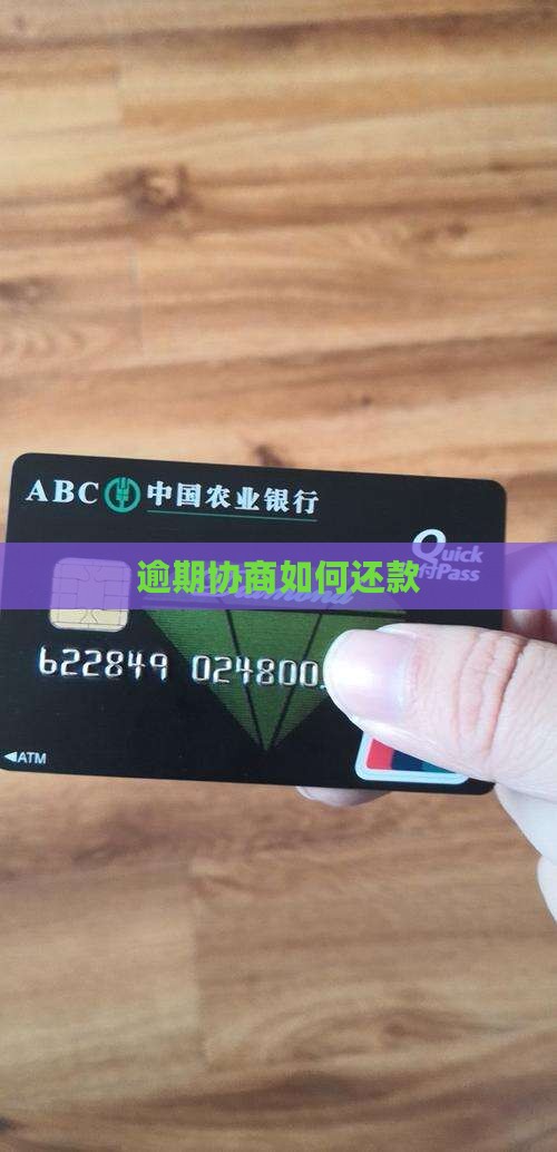 樱桃汇逾期协商方式
