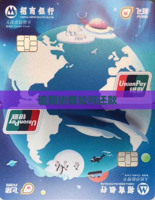 樱桃汇逾期协商方式