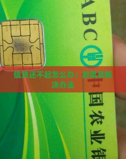 信贷还不起怎么办