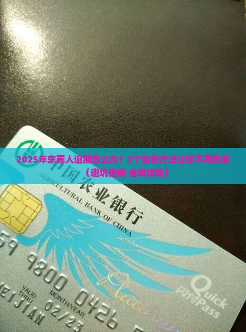 莞易贷逾期怎么处理