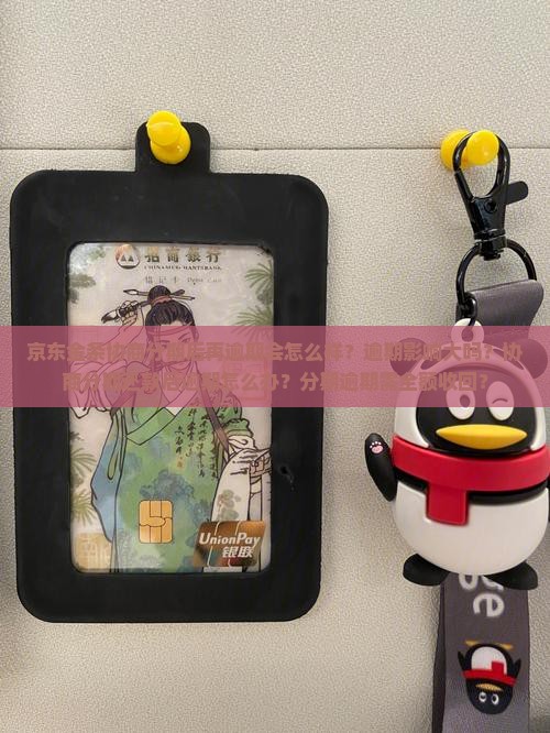 京东金条协商分期后再逾期