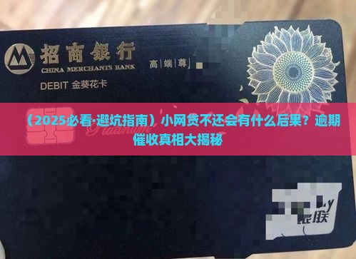 小网贷不还会怎样