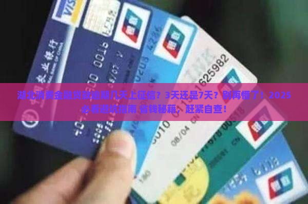 湖北消费金融贷款逾期几天上征信怎么办 湖北消费金融贷款逾期几天上征信怎么办