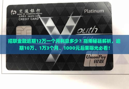 招联金融逾期12万一个月