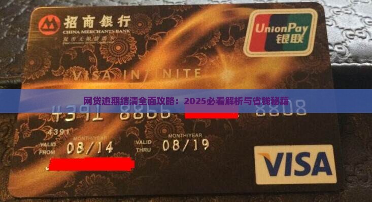 网贷逾期全面结清需要哪些步骤
