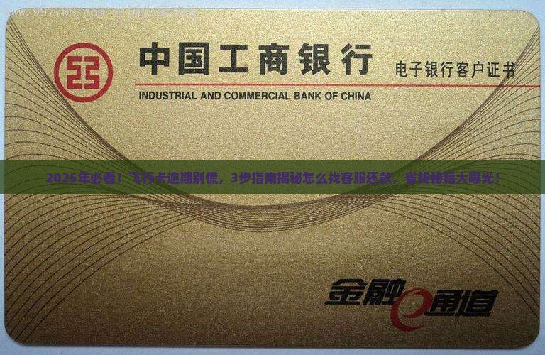 飞行卡逾期怎么找客服进行还款操作