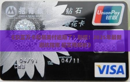 玖富万卡易美付逾期怎么办
