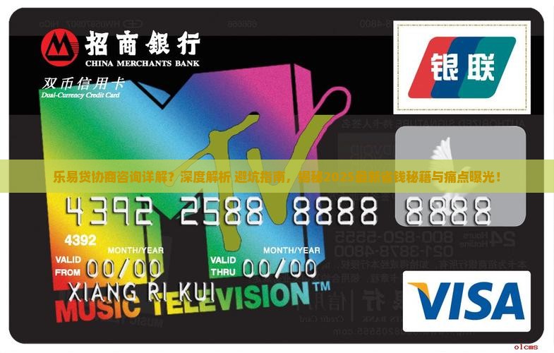 乐易贷协商咨询详解