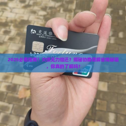 无力偿还能协商调解吗