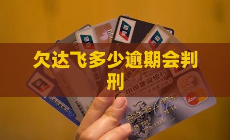 欠达飞金融多少判刑