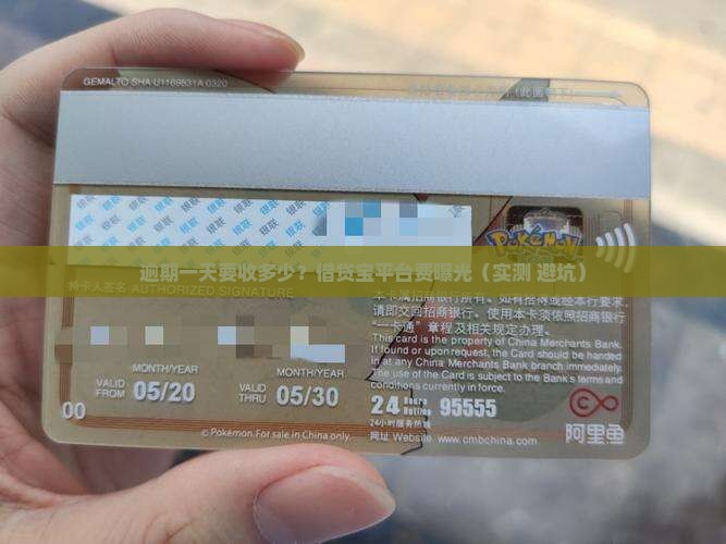 借贷宝逾期一天平台费是多少