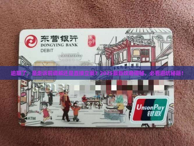 逾期诉前调解还是立案好