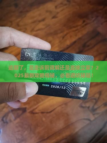 逾期诉前调解还是立案好