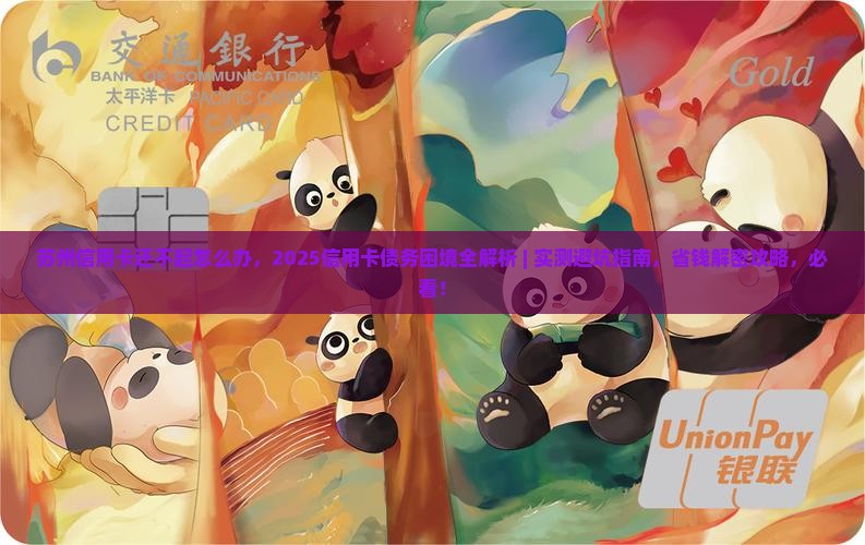 苏州信用卡还不起怎么办