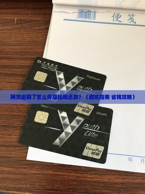 网贷逾期了怎么停息挂账还款呢