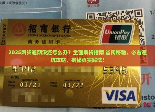 网贷逾期没有还怎么办